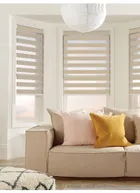 Montage Beige Vision Day And Night Blind