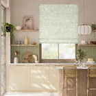 Florina Pistachio Roman Blind