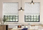 Dragonflies Soft White - Roman Blind