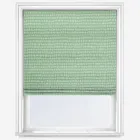 Scion Tocca Juniper Roman Blind