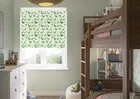 Dino Land Lush Green - Roller Blind