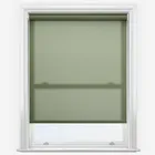 Pop Ivy Roller Blind
