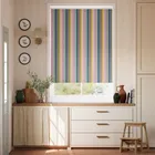 Archive Stripe Bliss Roller Blind
