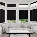 Thermal Blackout Perfect Fit No Drill Pleated Raven