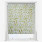 Kashi Lima Roller Blind
