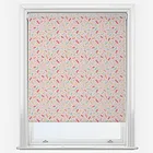 Sonova Studio Jellies Earth Roller Blind