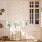 Wharfedale Apricot & Chalk Roman Blind