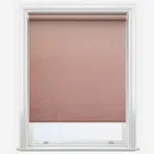 Windsor Blackout Blush Roller Blind