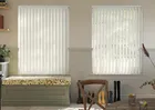 Roma (fr) Buttercream - Vertical Blind