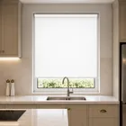 Unity Polaris Ice Roller Blind