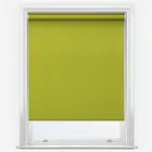Aqualuxe Lime Roller Blind