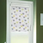 Calista Citrus Perfect Fit Roller Blinds