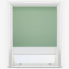 Double Roller Pop Blackout Sage & White Double Roller Blind